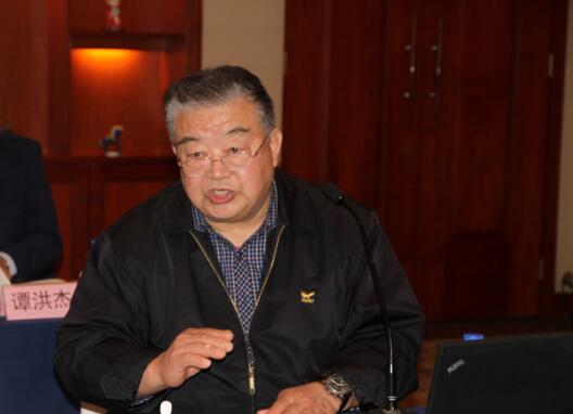发电设备生产运营专家委员会秘书长马桂山